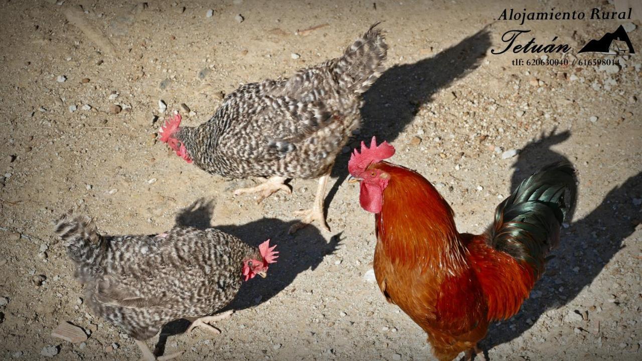 Alojamiento Rural Tetuán Árchez Esterno foto